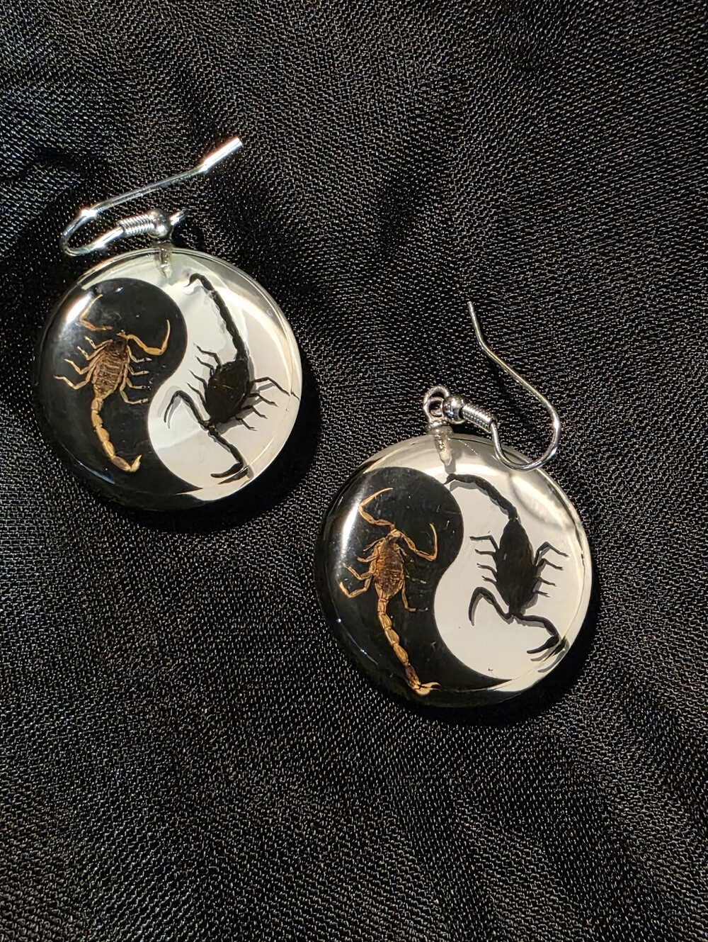 Taxidermy Scorpion Yin Yang Glow In The Dark Dangle Earrings